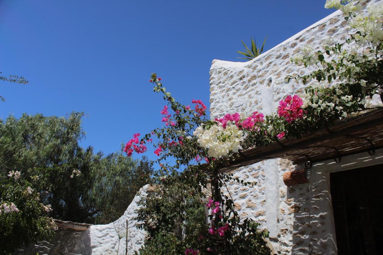 Riad Sanam Essaouira Bagian luar foto