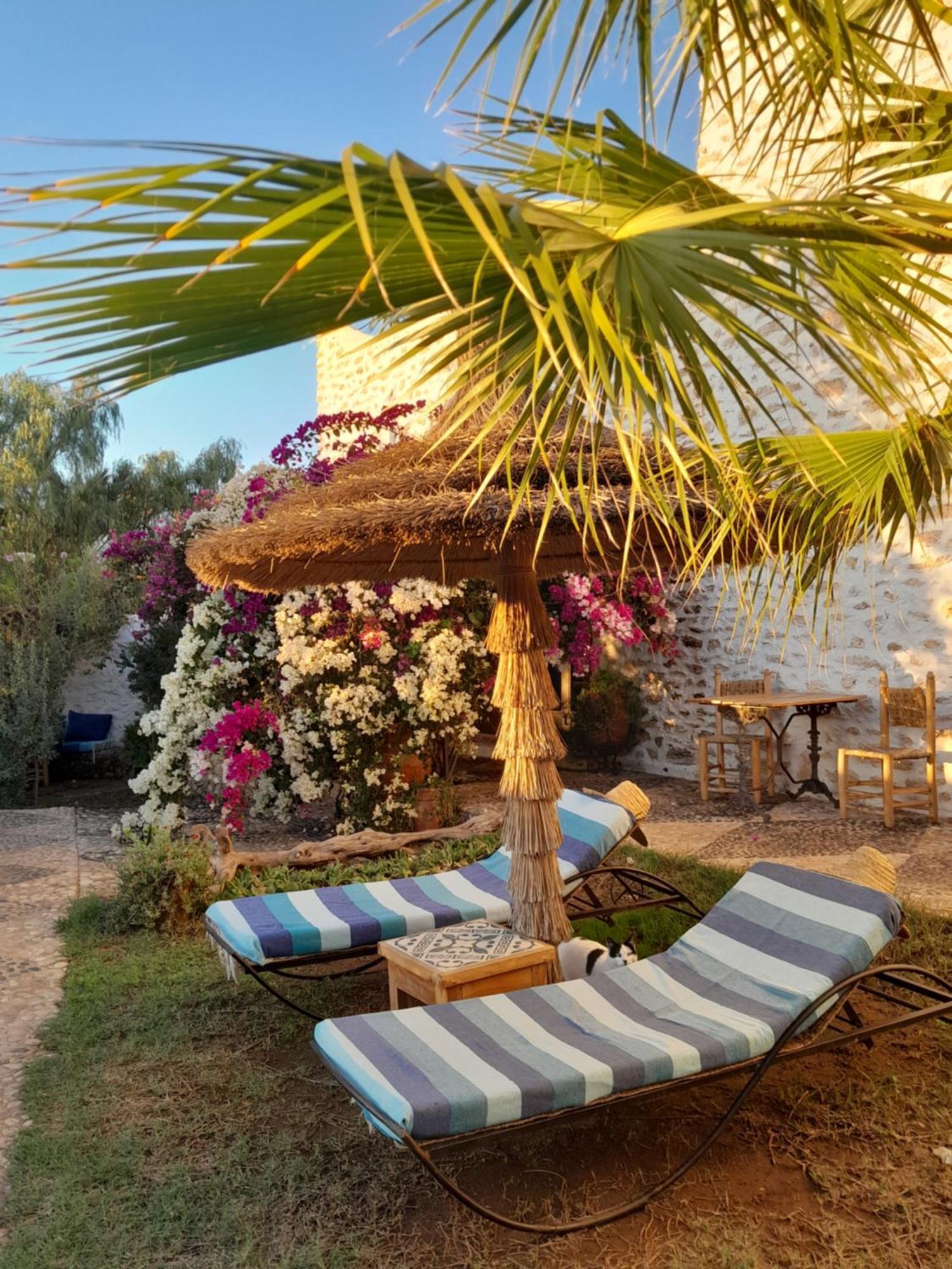 Riad Sanam Essaouira Bagian luar foto