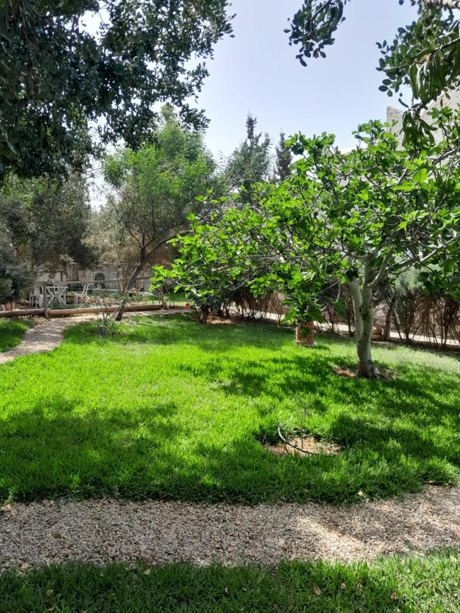 Riad Sanam Essaouira Bagian luar foto