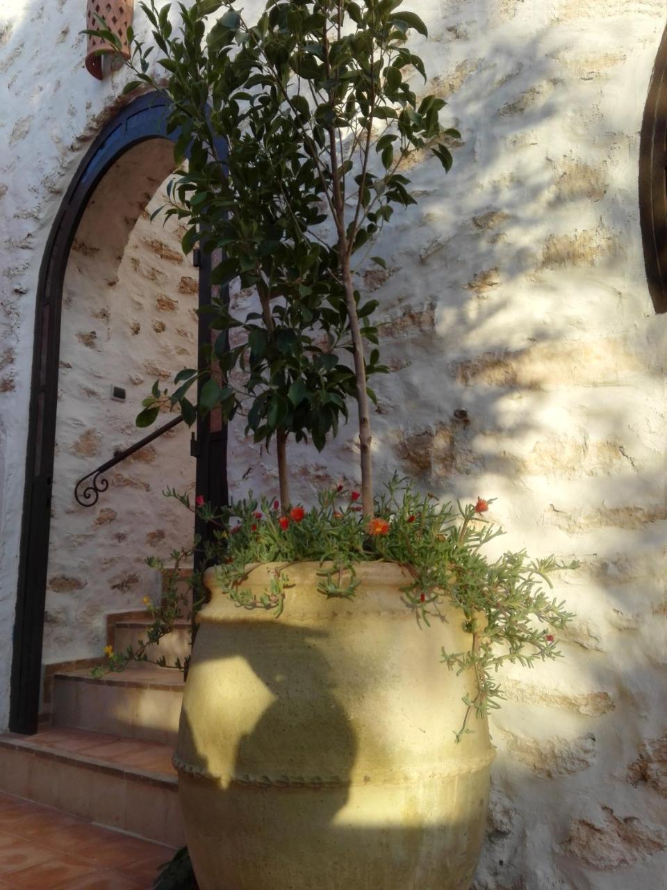 Riad Sanam Essaouira Bagian luar foto