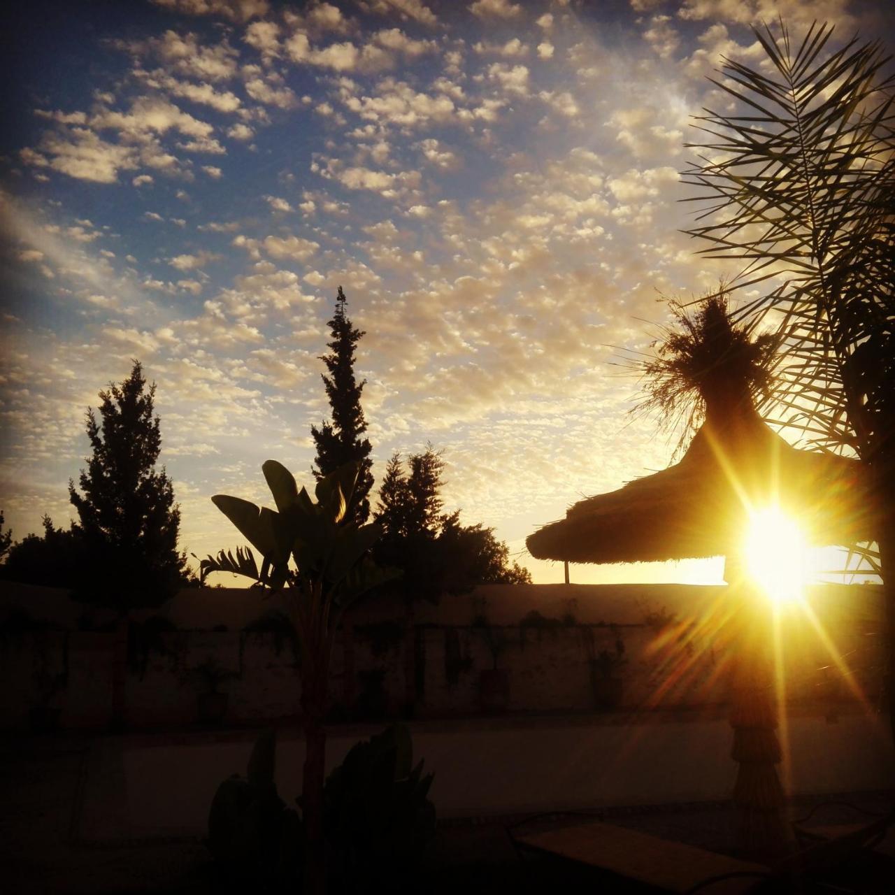 Riad Sanam Essaouira Bagian luar foto